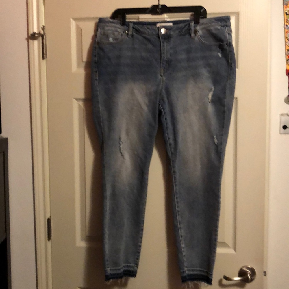2 Lane Bryant Jeans